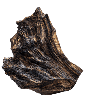 A piece of high grade agarwood resin wood